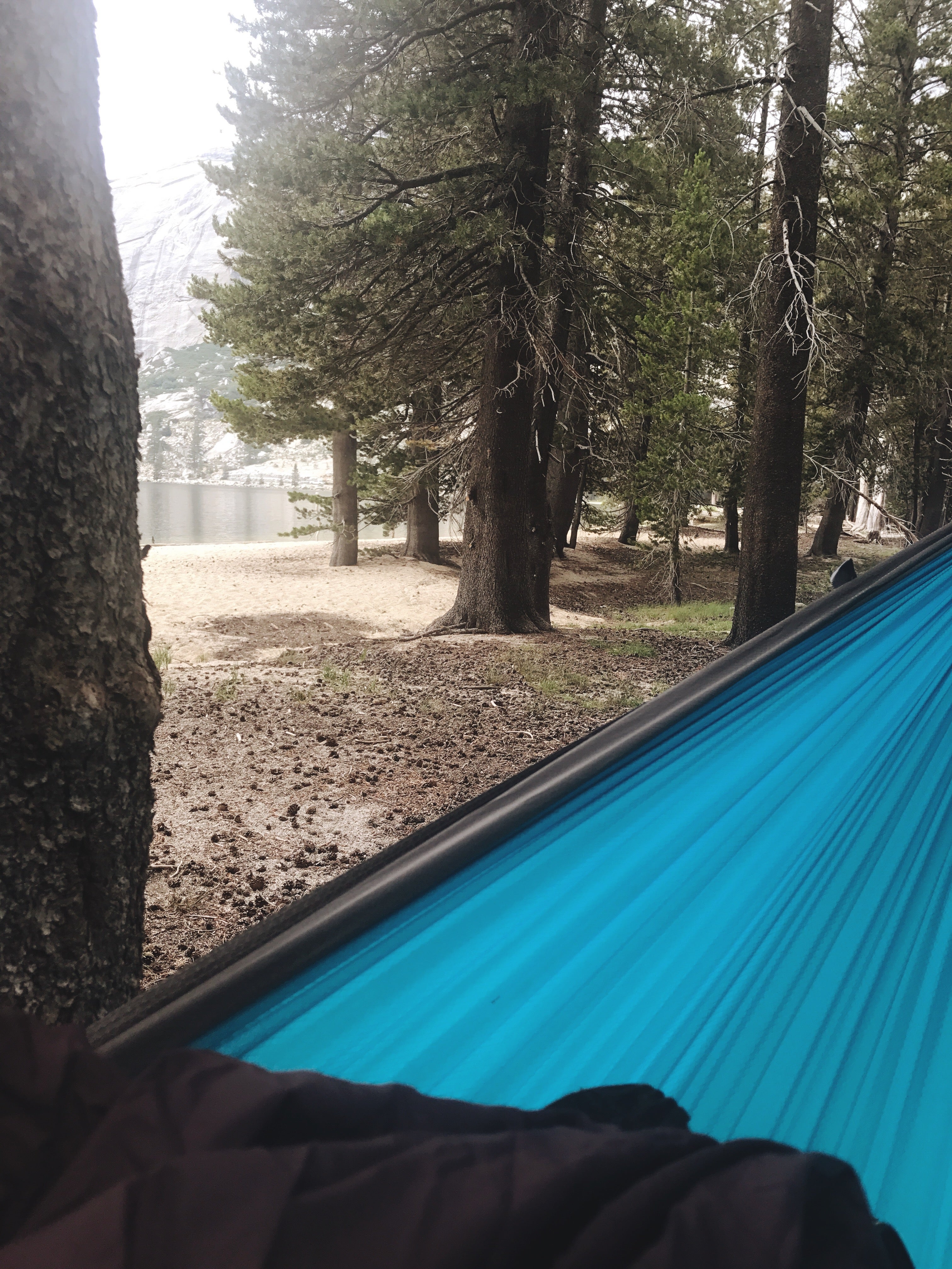 Camper submitted image from Sunrise Lakes Backcountry Camp — Yosemite National Park - 5