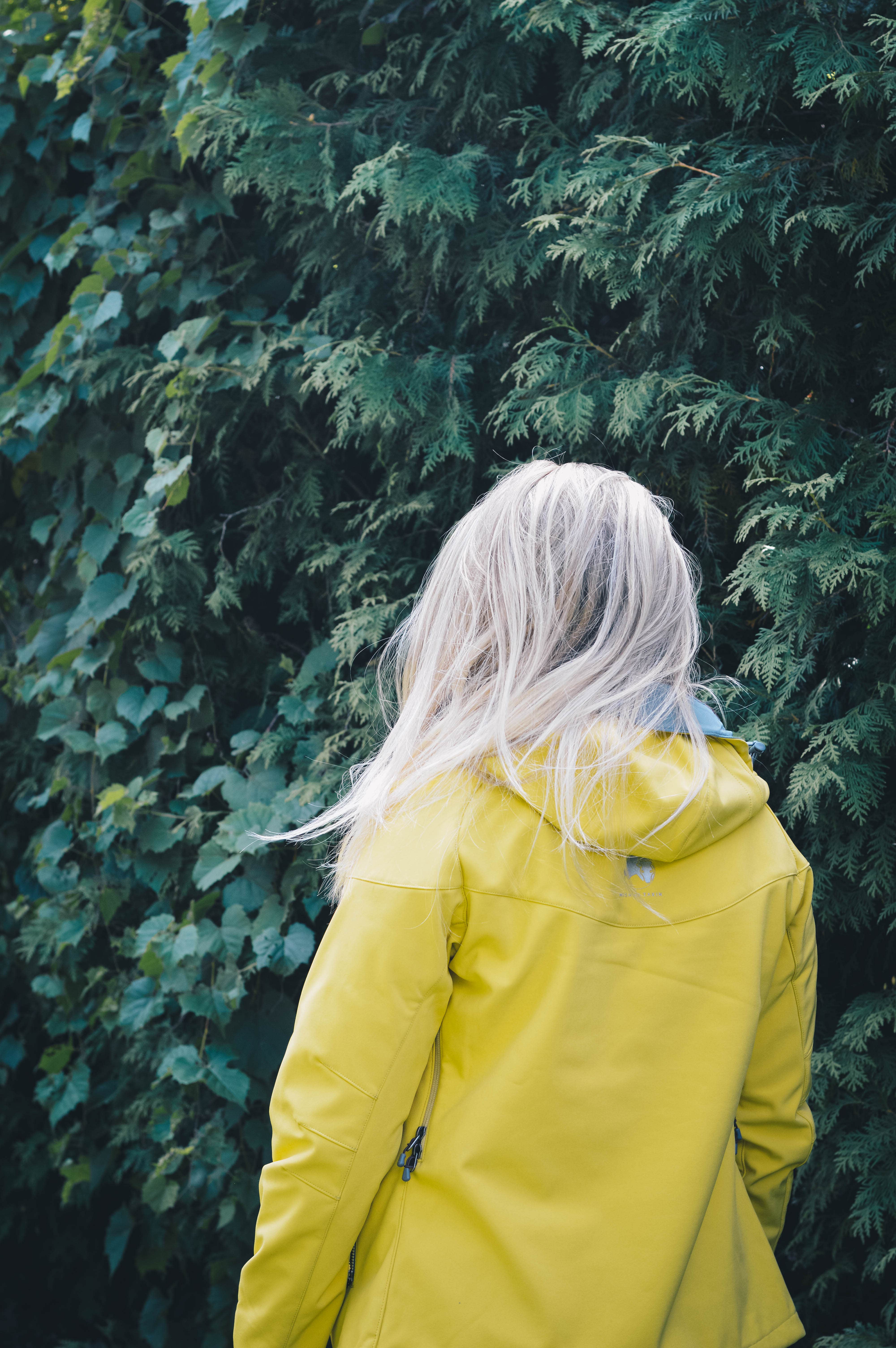 Camper-submitted photo at Sunrise Lakes Backcountry Camp — Yosemite National Park near Yosemite National Park