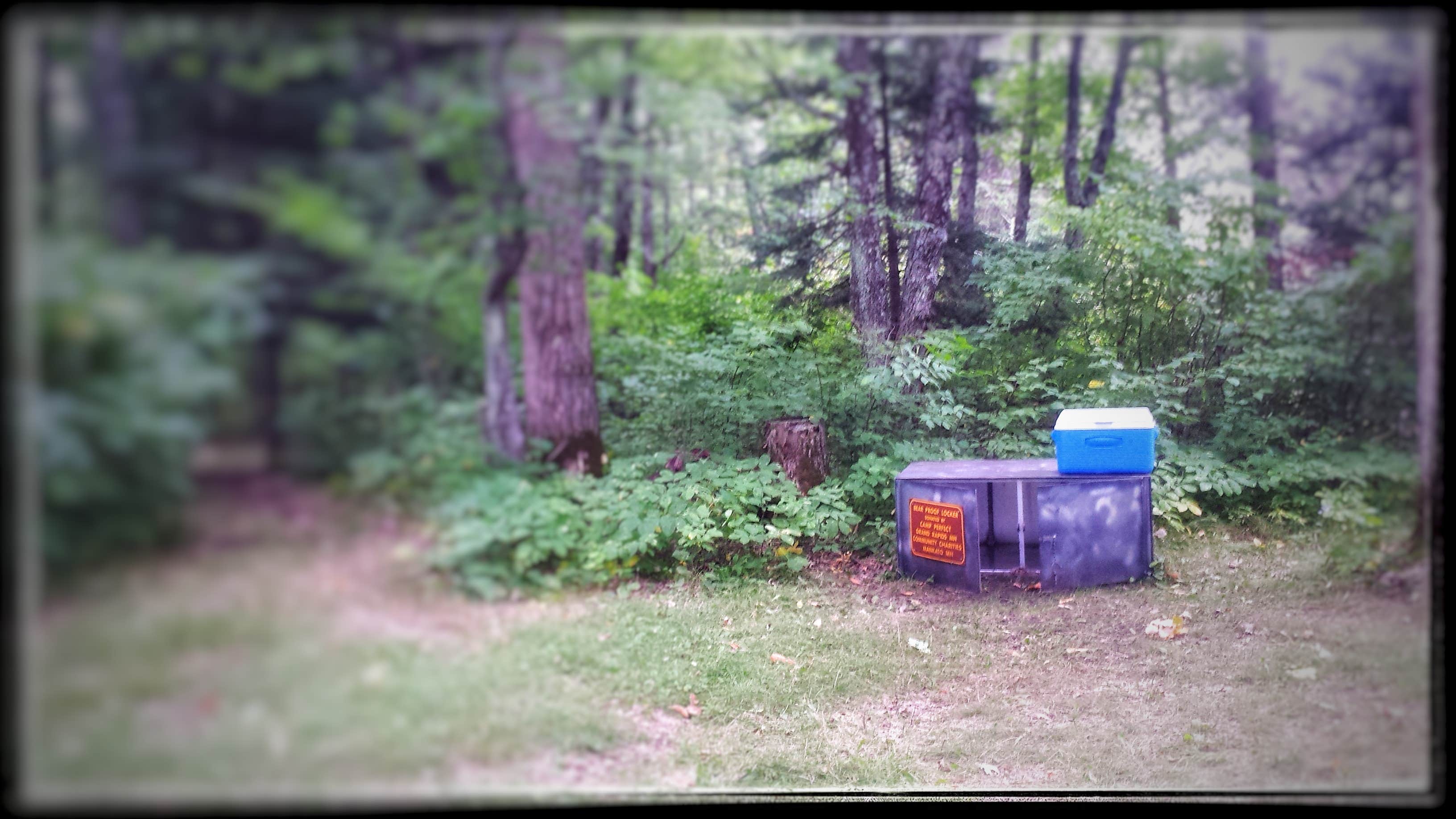 Camper submitted image from Blackberry Campsite - 2