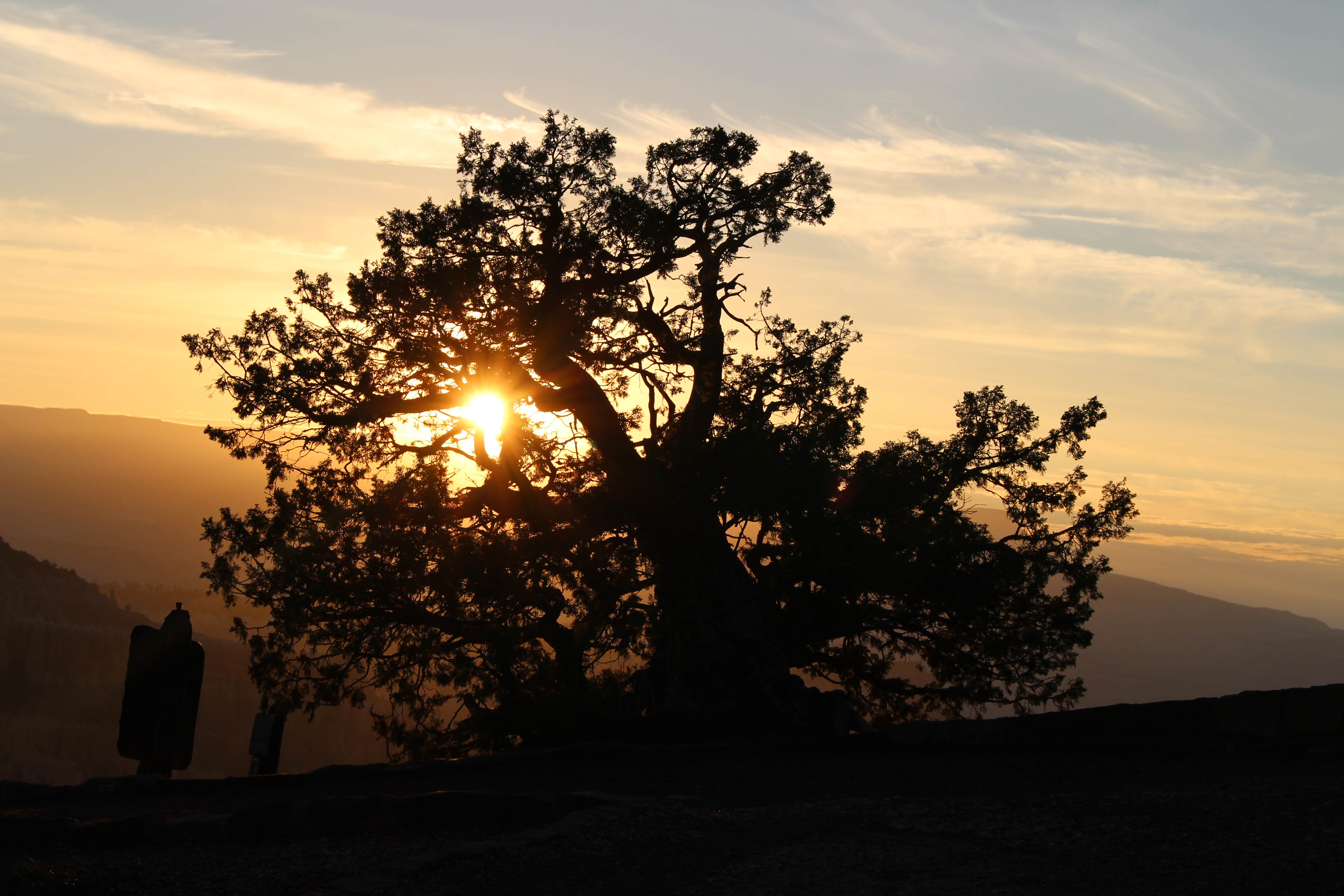 Camper submitted image from North Campground — Bryce Canyon National Park - 1