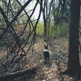 Review photo of Woodridge Park by Ashley F., September 12, 2017