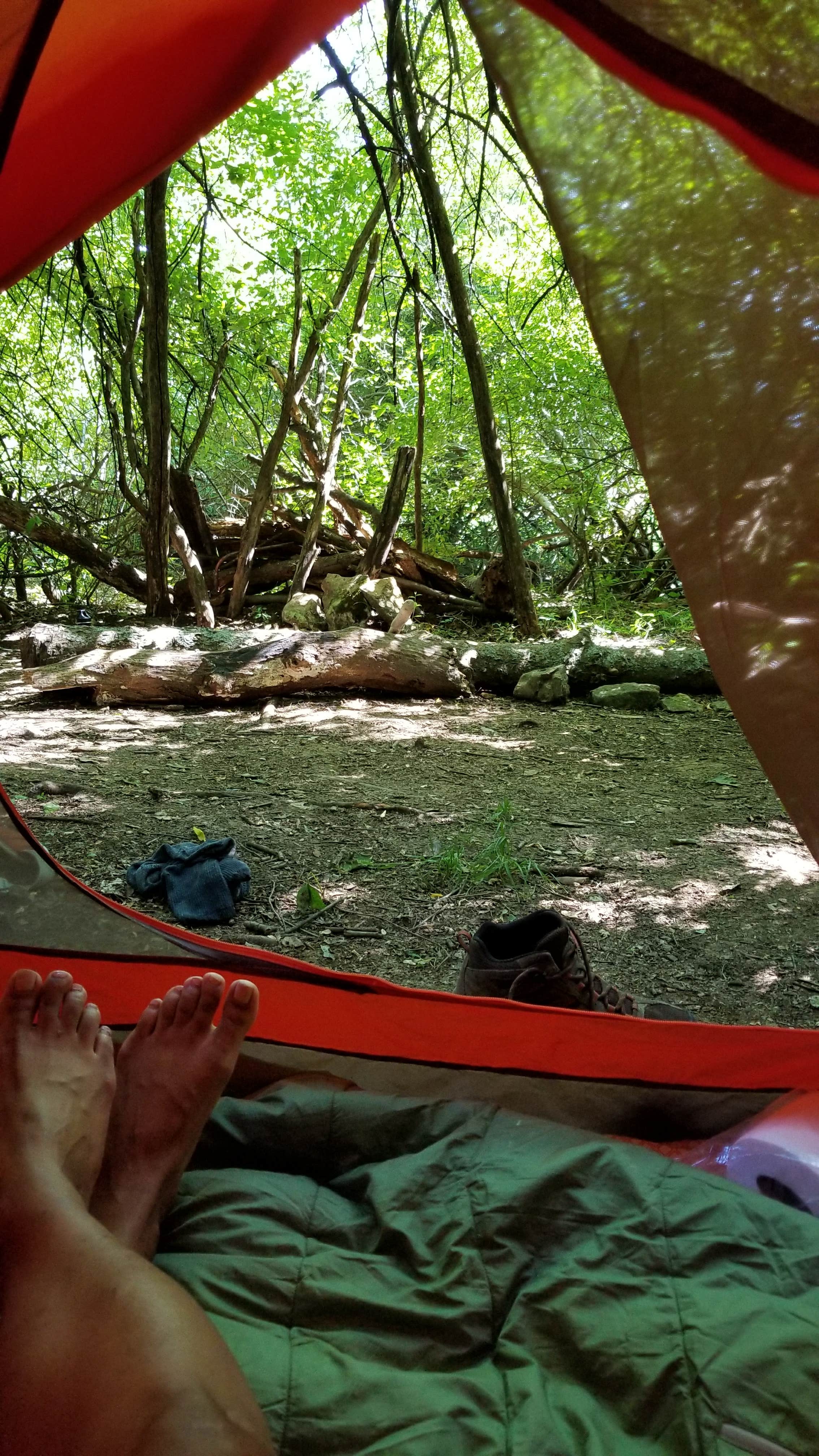 Camper submitted image from Woodridge Park - 4