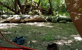 Ashley F.'s photo at Woodridge Park in Kansas