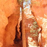 Review photo of North Campground — Bryce Canyon National Park by Christy C., June 30, 2016