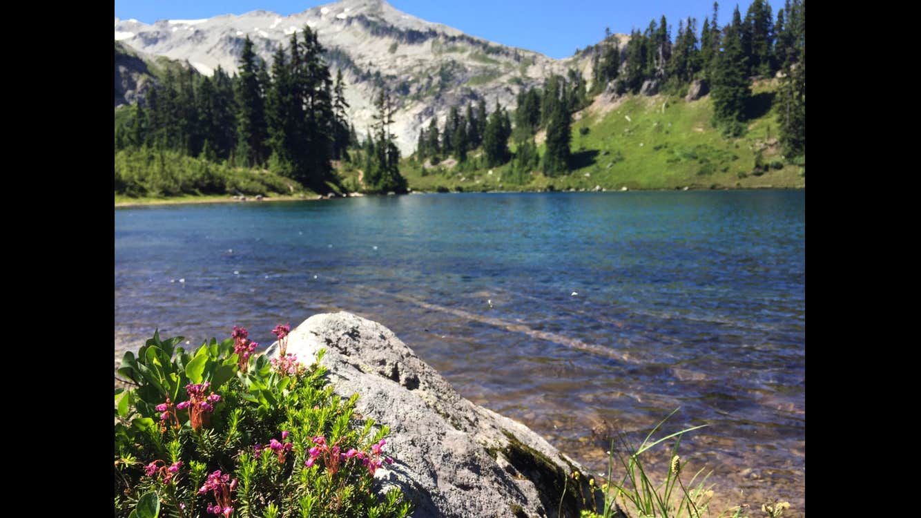 Camper submitted image from Hyas Lake - 4