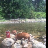 Review photo of Chewuch Campground by Jessica C., September 12, 2017