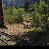Review photo of Chewuch Campground by Jessica C., September 12, 2017