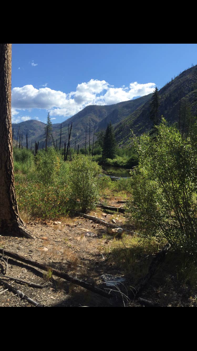 Camper submitted image from Chewuch Campground - 2