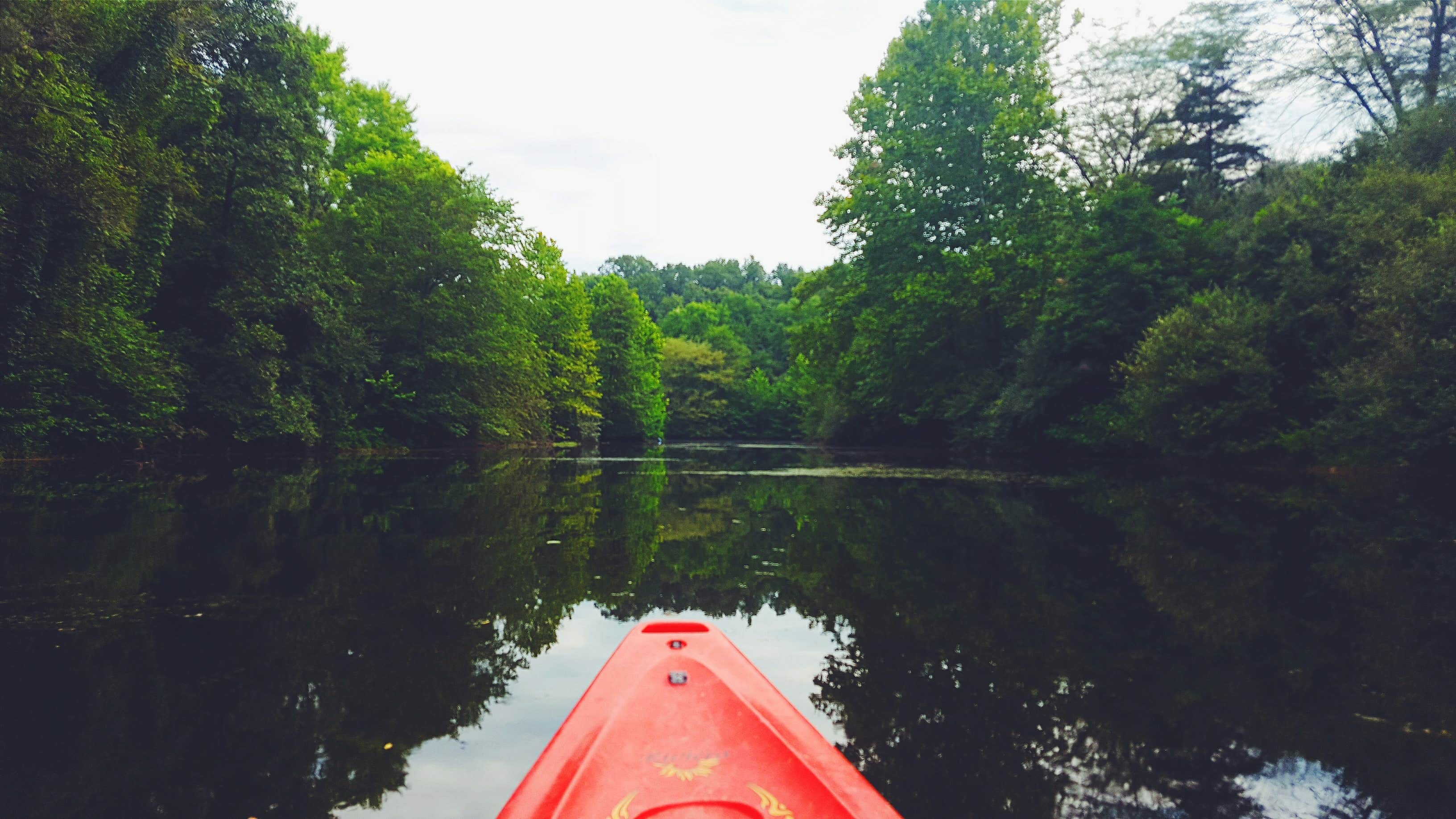 Camper-submitted photo at Finger Lakes State Park Campground near Holliday, MO