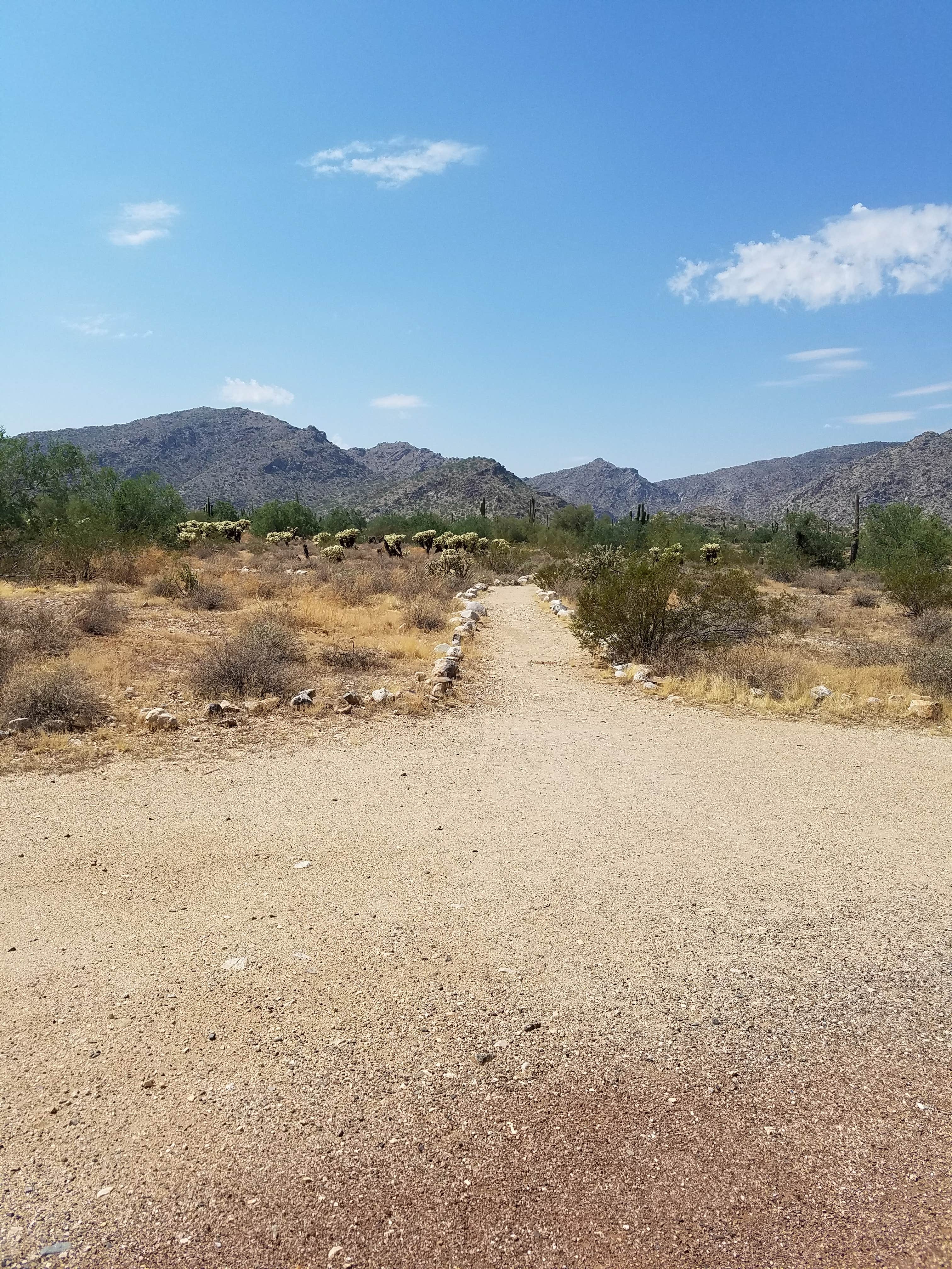 Camper submitted image from White Tank Mountain - 2