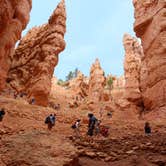 Review photo of North Campground — Bryce Canyon National Park by Christy C., June 30, 2016