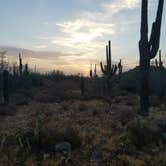 Review photo of White Tank Mountain by Staci R., September 12, 2017