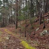 Review photo of Talimena State Park Campground by Mark C., April 10, 2020