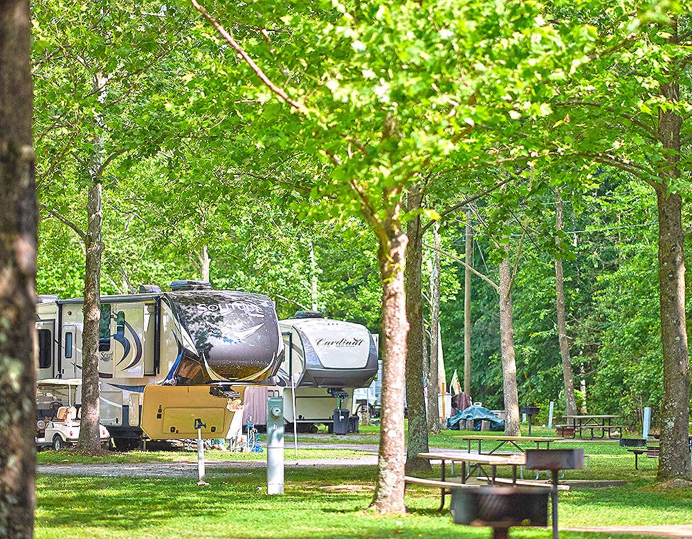 The Dyrt's photo at Thousand Trails Harbor View near La Plata, MD