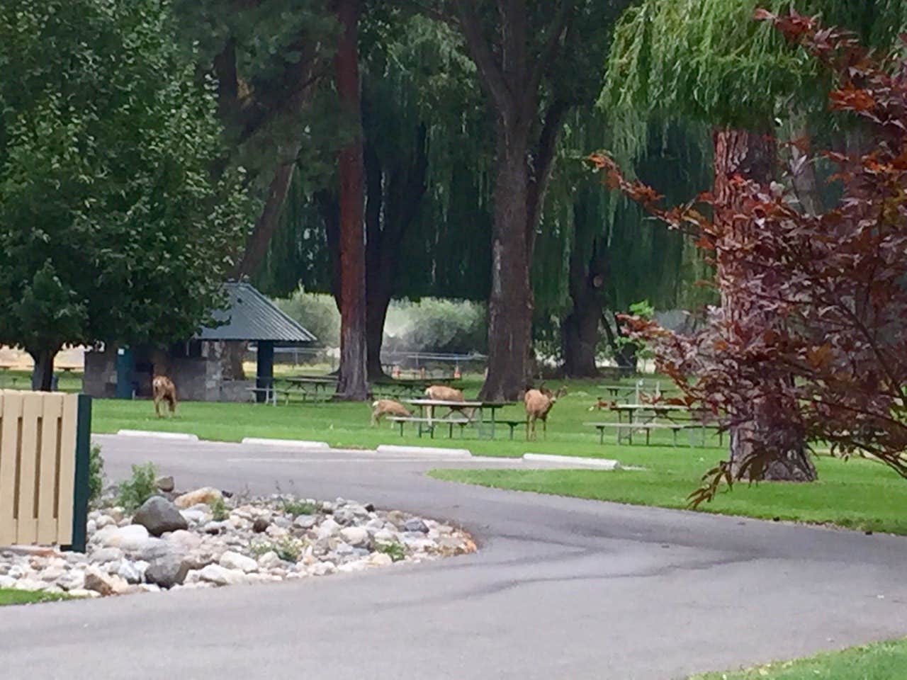 Camper-submitted photo at Conconully State Park Campground near Conconully, WA