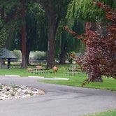 Review photo of Conconully State Park Campground by Mercedes D., September 12, 2017