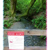 Review photo of Twanoh State Park Campground by Mercedes D., September 12, 2017
