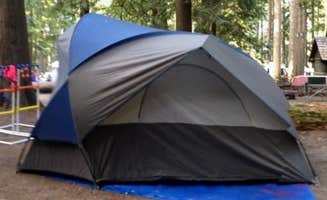 Mercedes D.'s photo at Twanoh State Park Campground near Lilliwaup, WA