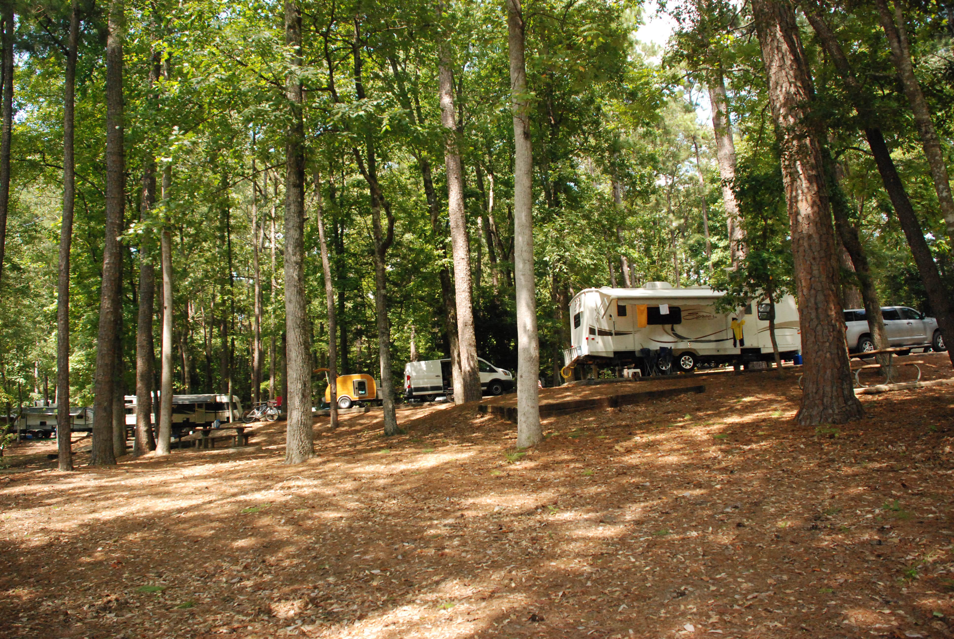 Camper submitted image from Clarkco State Park Campground - 4