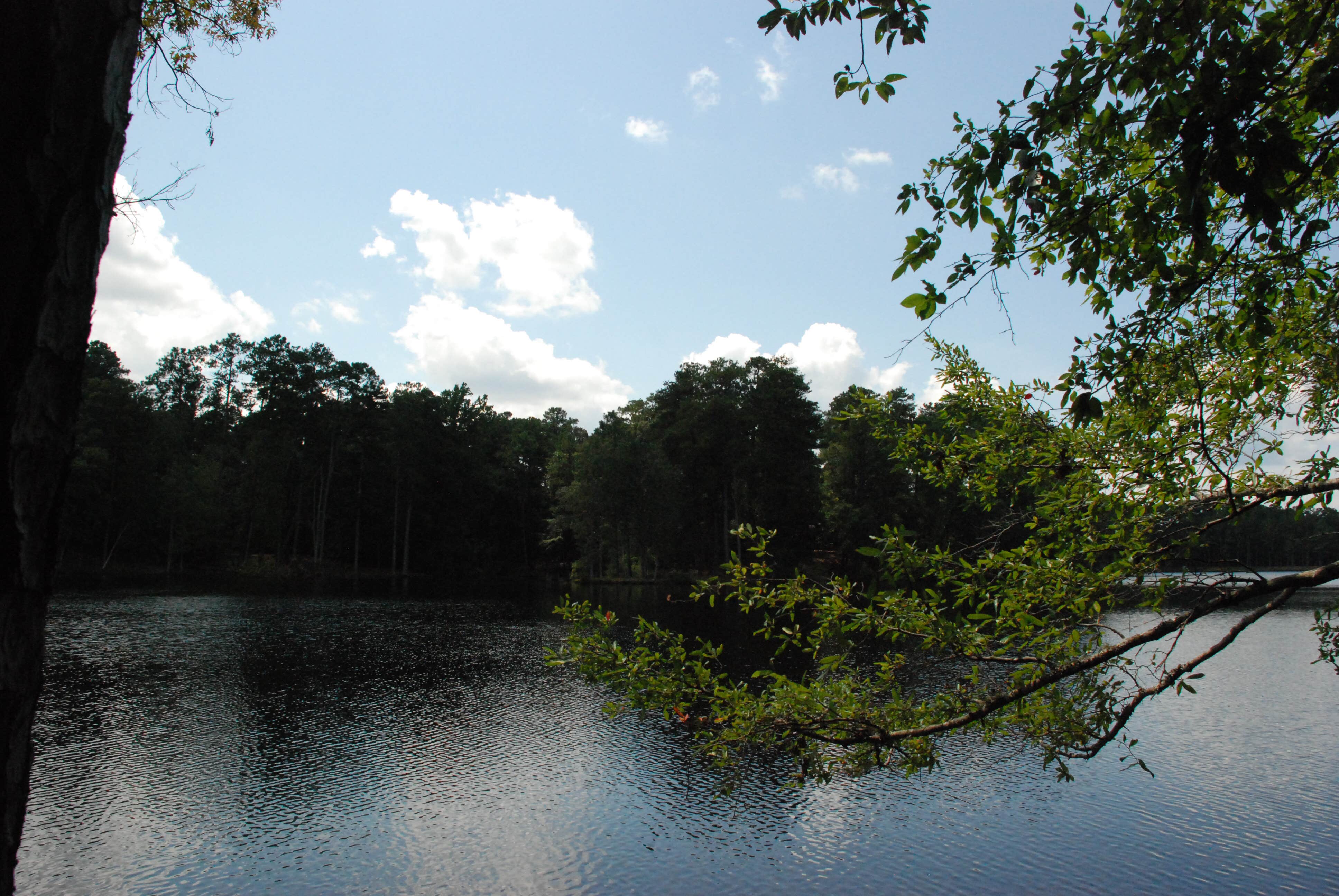 Camper submitted image from Clarkco State Park Campground - 3