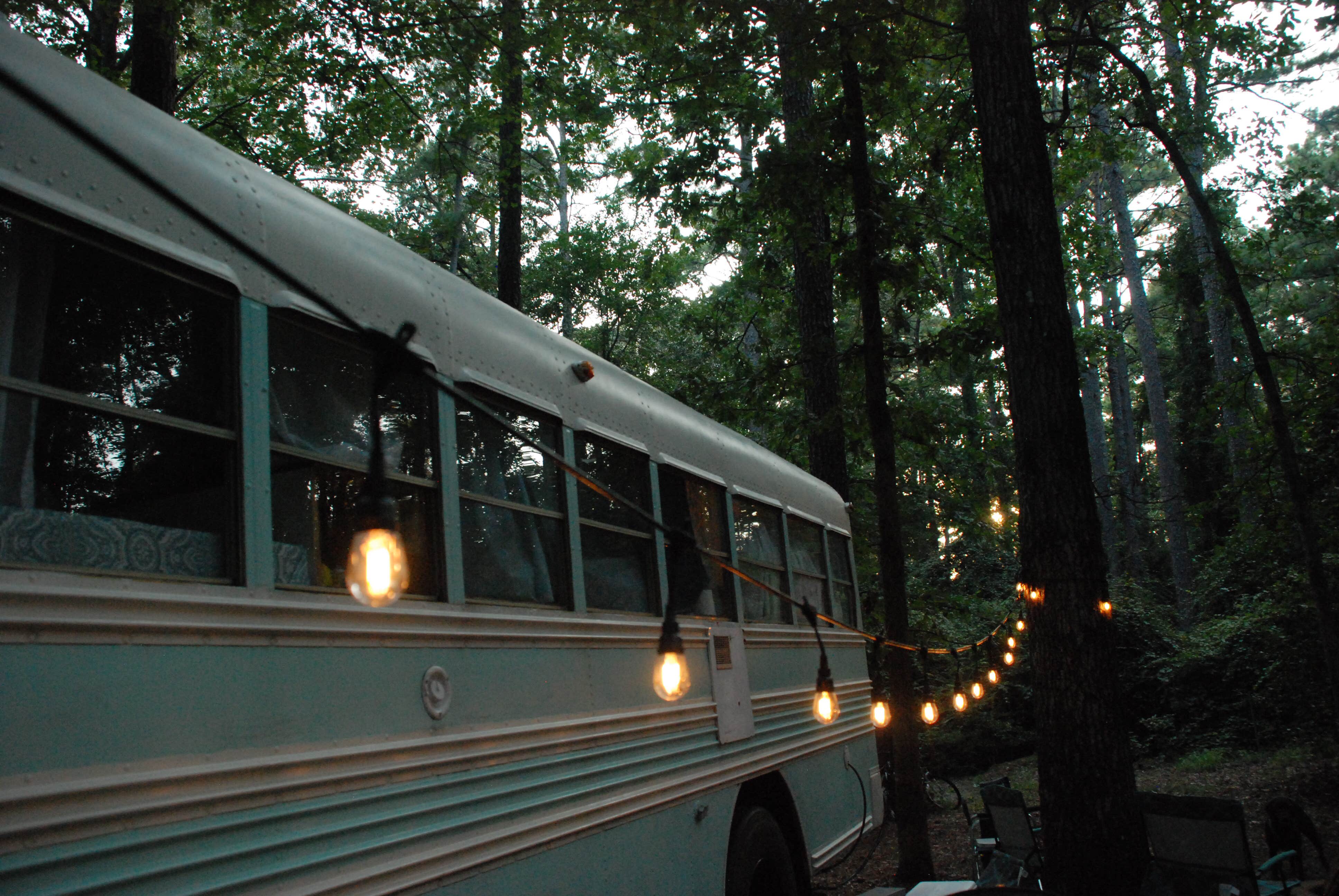 Camper submitted image from Clarkco State Park Campground - 2