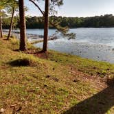 Review photo of Jack Hill State Park by GJ D., April 11, 2020