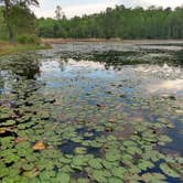 Review photo of Jack Hill State Park by GJ D., April 11, 2020