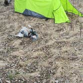 Review photo of Swinging Bridge Fishing Access Site - TEMPORARILY CLOSED by Jeff K., April 11, 2020