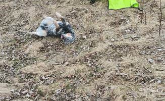 Jeff K.'s photo at Swinging Bridge Fishing Access Site - TEMPORARILY CLOSED near Billings, MT