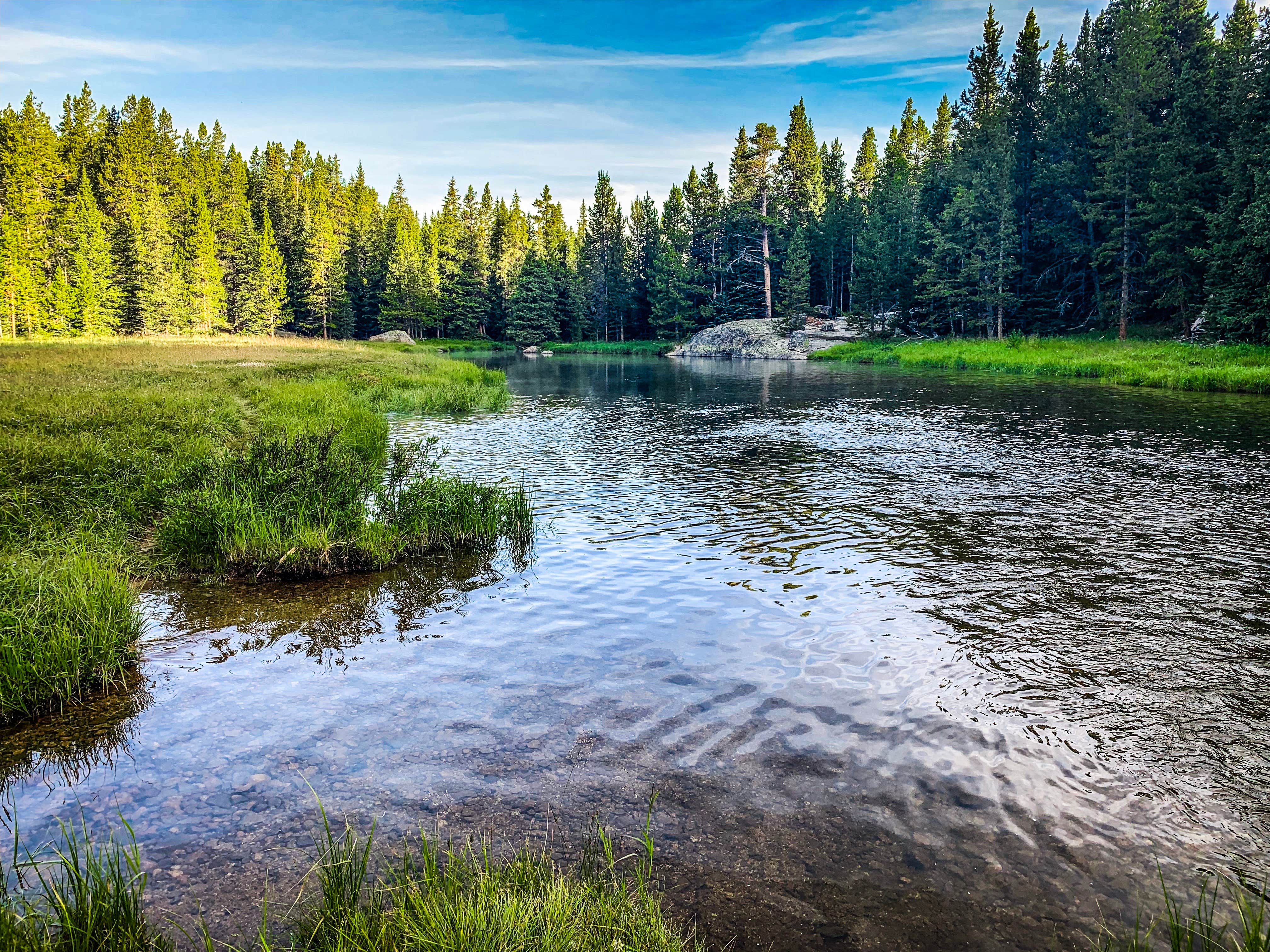 Camper submitted image from Shell Reservoir Camping Area - 3