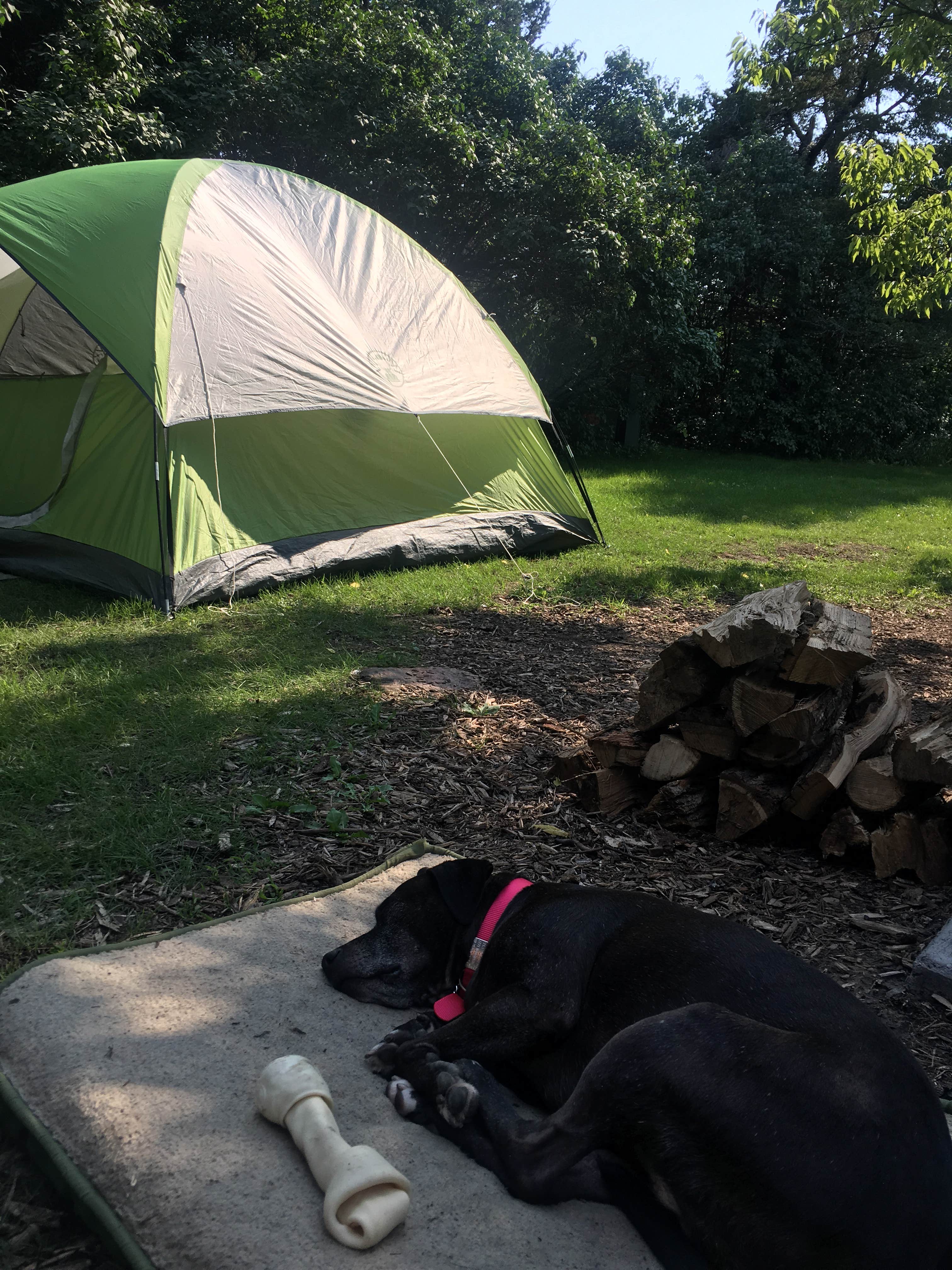 Camper submitted image from Palisades State Park Campground - 1