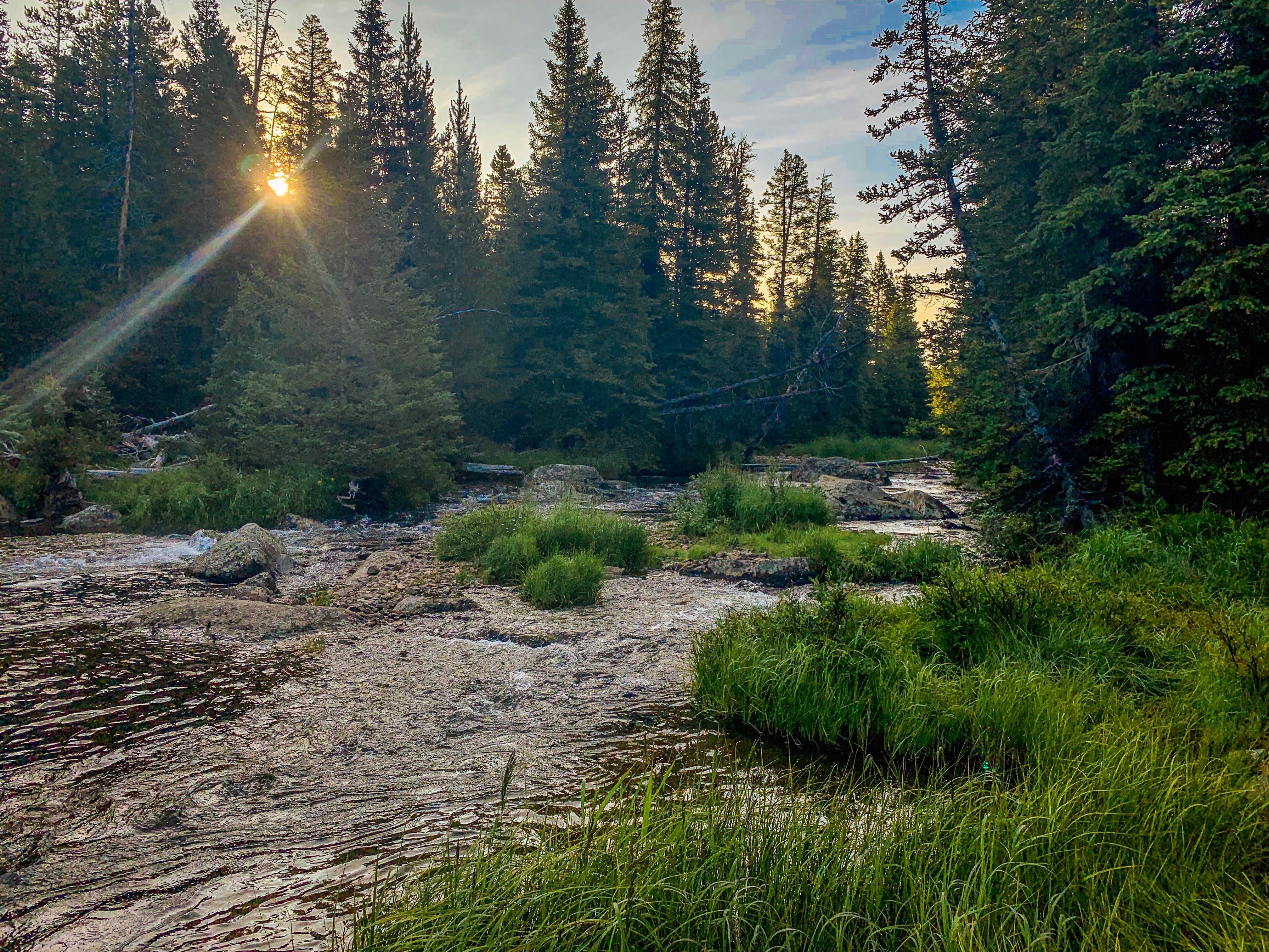 Camper-submitted photo at Shell Reservoir Camping Area near Greybull, WY