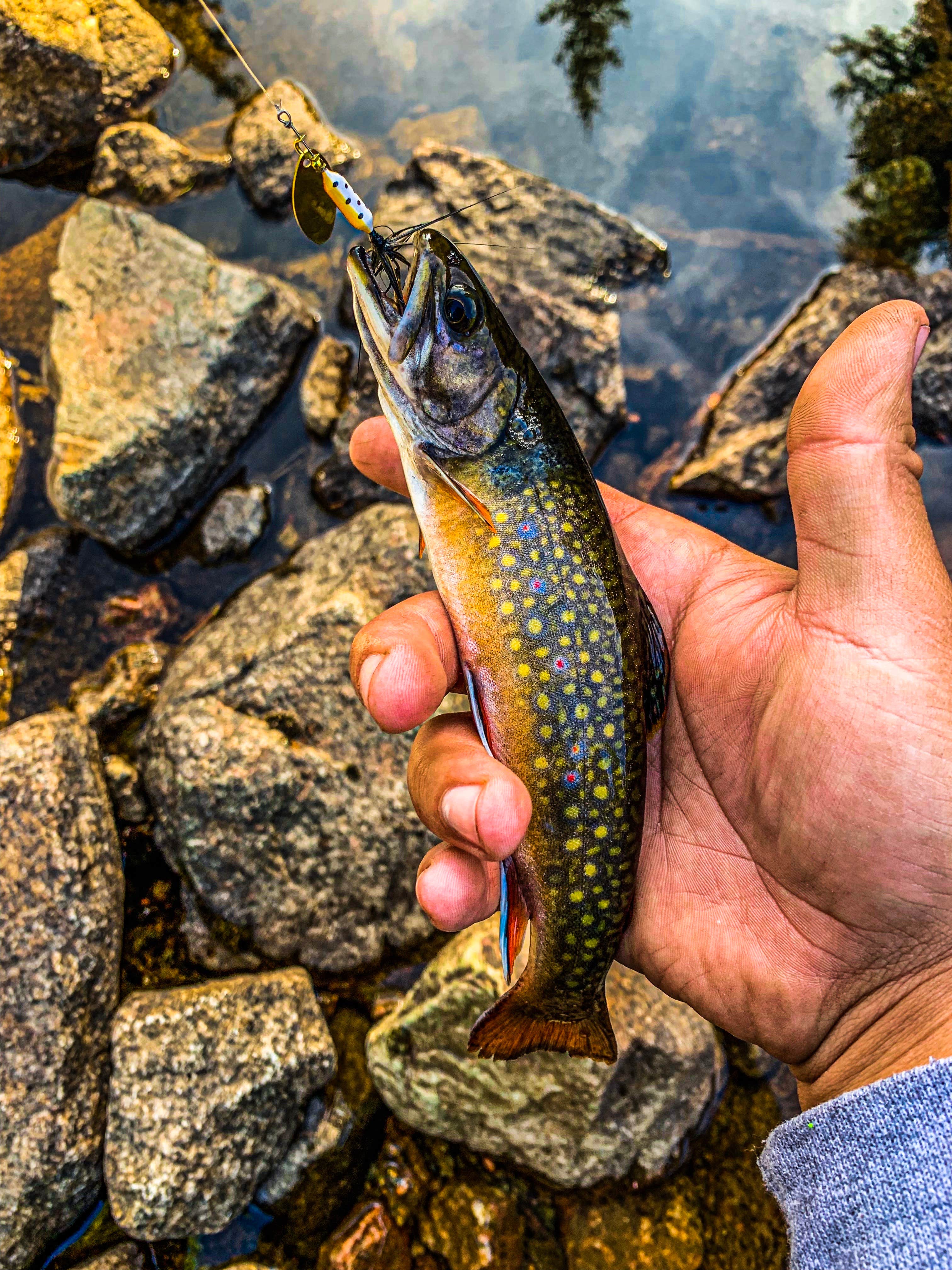 Camper-submitted photo at Shell Reservoir Camping Area near Greybull, WY