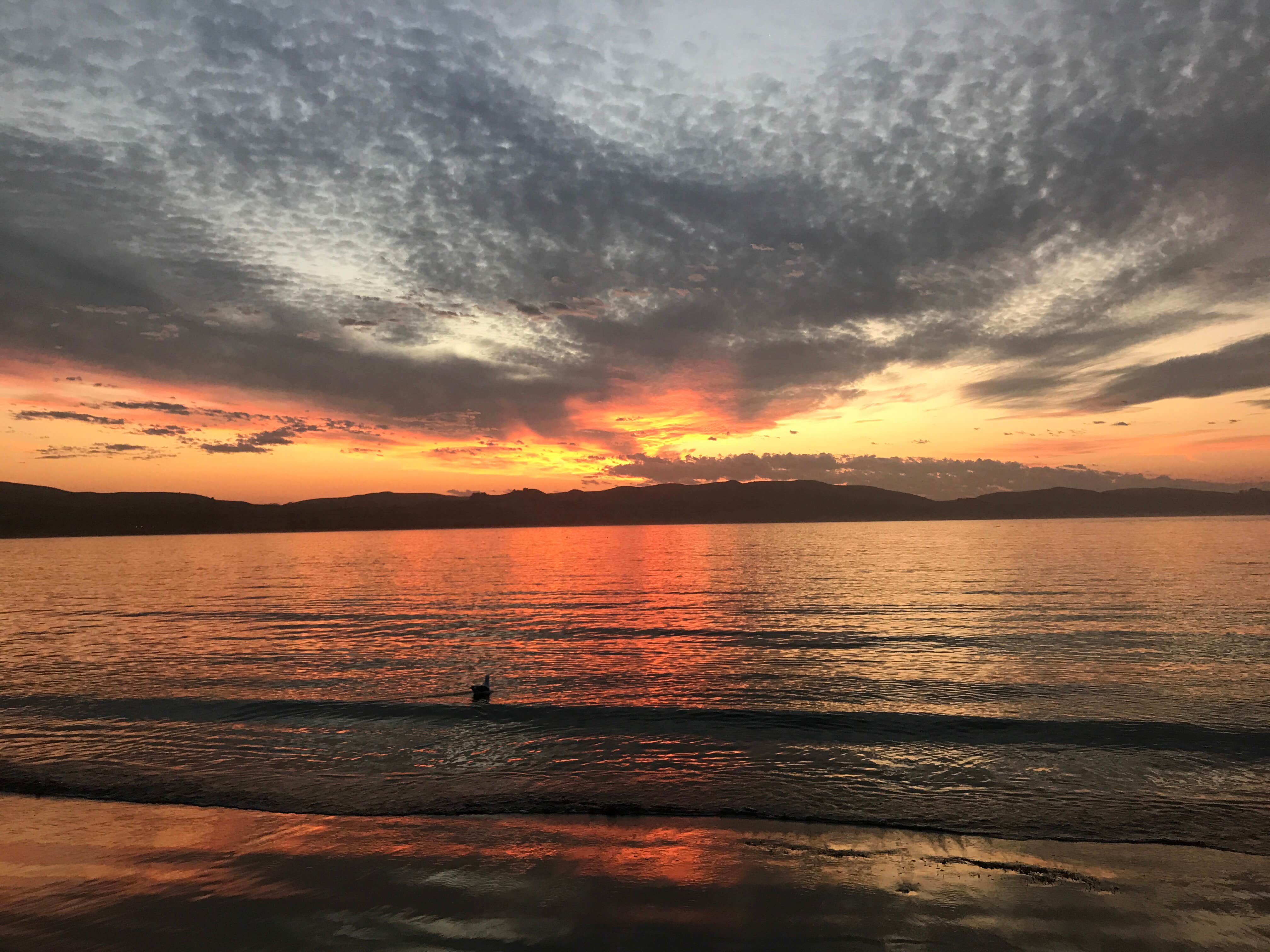 Camper submitted image from Doran Regional Park - 3