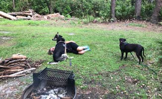 Angela M.'s photo of camping with pets at Stephen C. Foster State Park Campground near Lakeland, GA