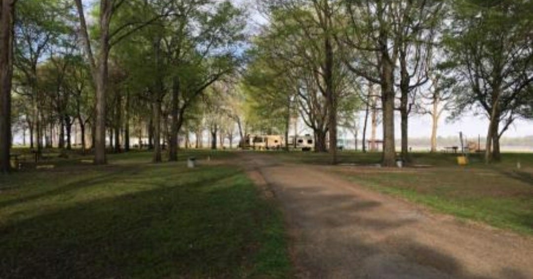 Camper submitted image from Warfield Point Park - 3
