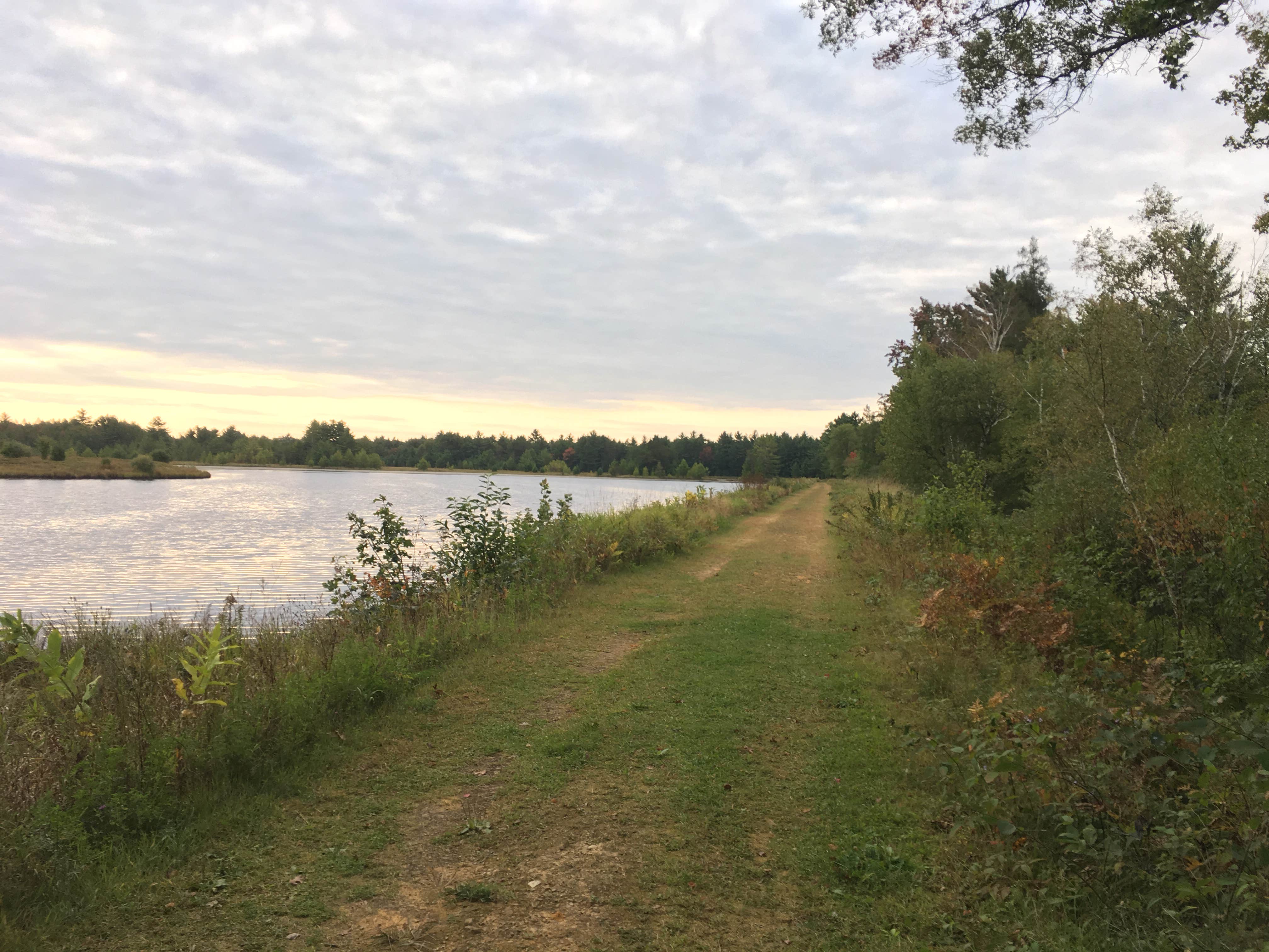 Camper-submitted photo at Pigeon Creek Campground — Black River State Forest near Pittsville, WI