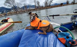Liz M.'s photo of camping with pets at Loch Leven near Livingston, MT