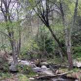 Review photo of Leavis Flat Campground by Philip W., April 12, 2020