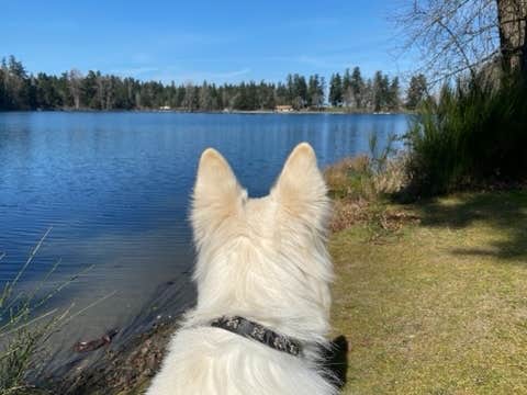 Camper-submitted photo at Holiday Park Military - Lewis McChord Base near Lake Tapps, WA