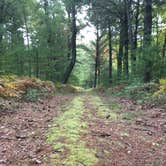 Review photo of Pigeon Creek Campground — Black River State Forest by Beth C., September 12, 2017