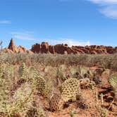 Review photo of Devils Garden Campground — Arches National Park by Christy C., June 30, 2016