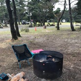 Review photo of South Beach State Park Campground by Sonja O., September 12, 2017