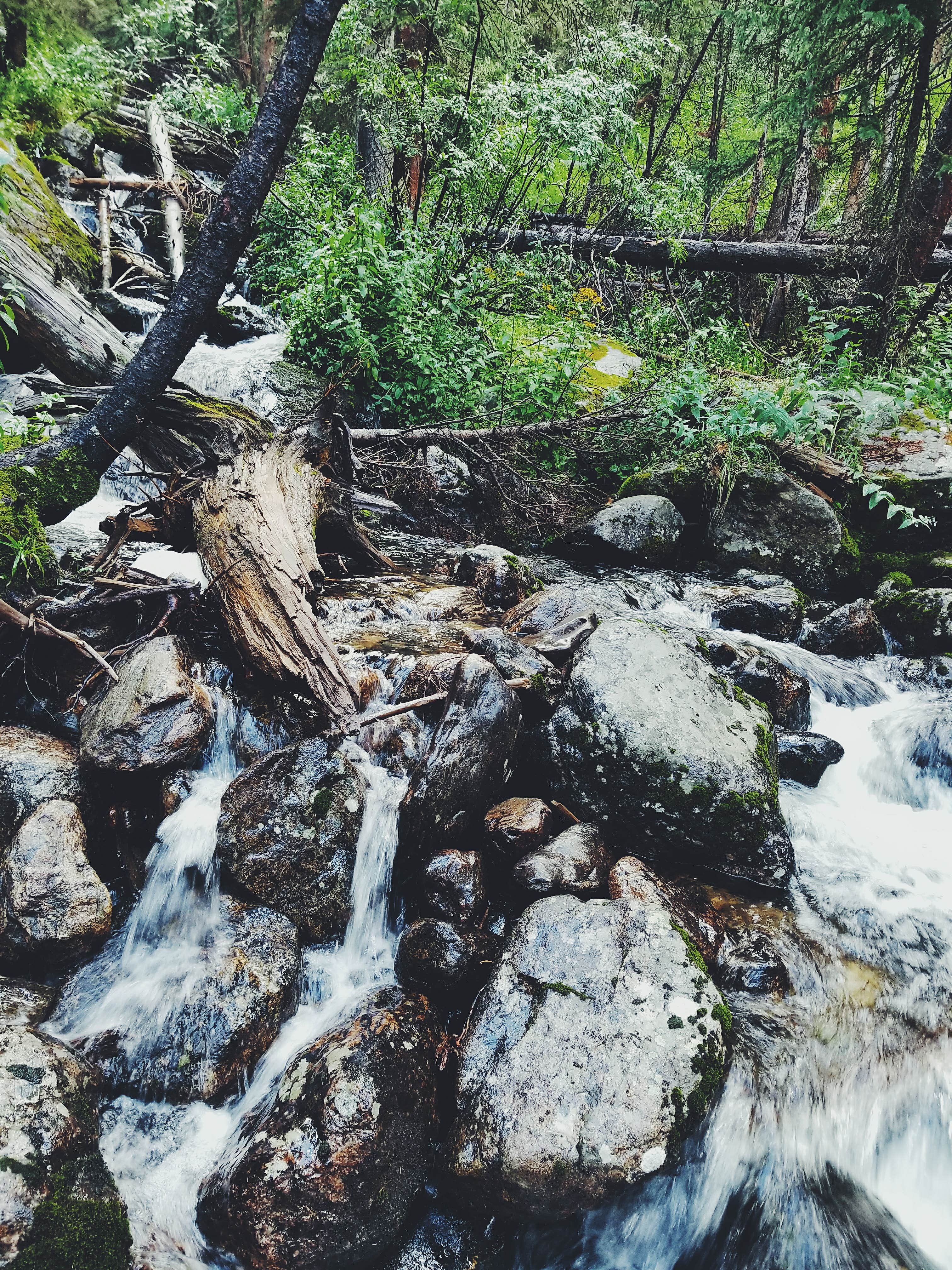 Camper-submitted photo at Homestake Road Dispersed - CO near Red Cliff, CO