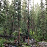 Review photo of Homestake Road Dispersed - CO by Ashley F., September 12, 2017