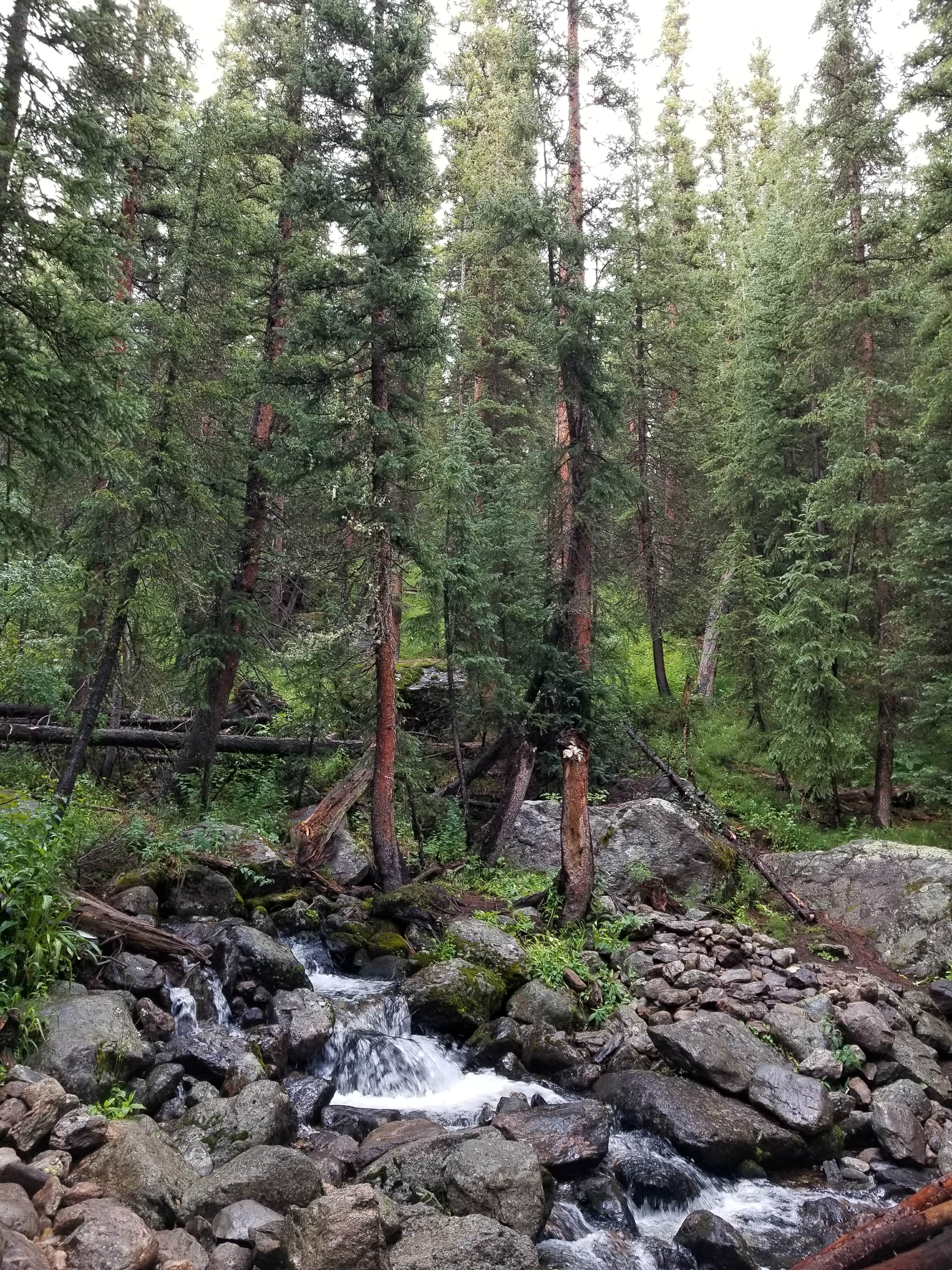 Camper submitted image from Homestake Road Dispersed - CO - 2