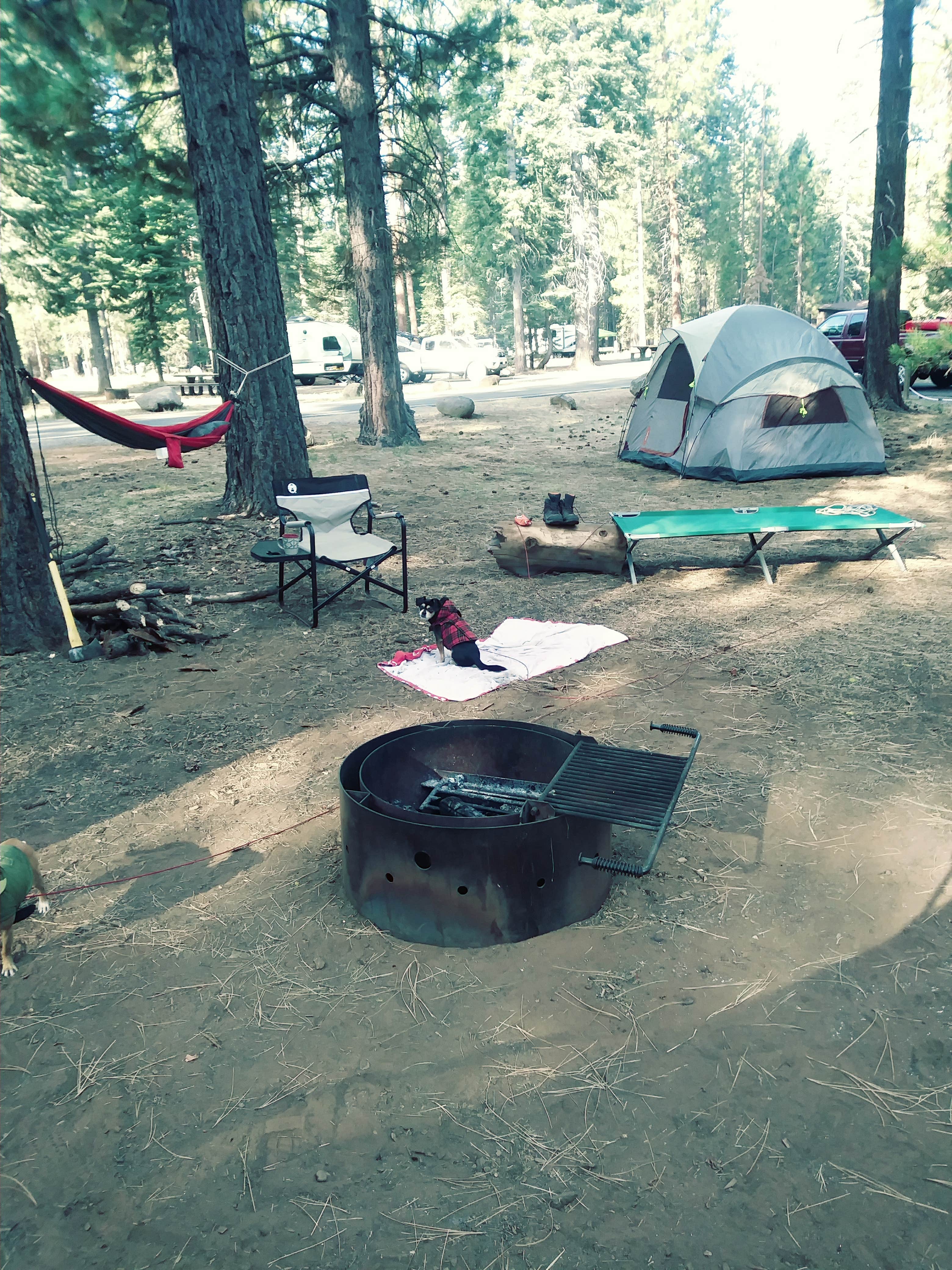 Chris M.'s photo at Lassen National Forest Merrill Campground near Likely, CA