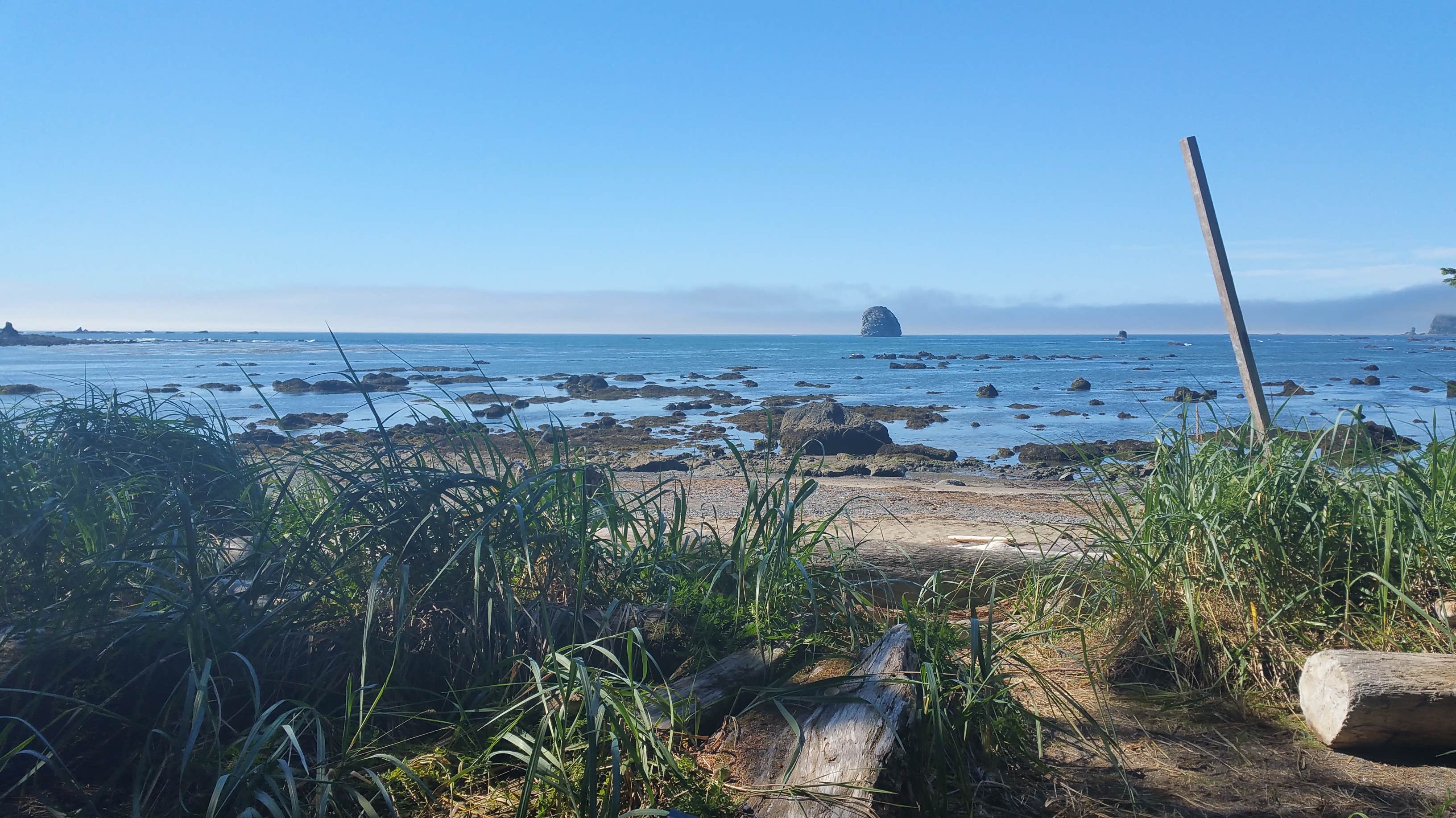 Sand point trail top olympic national park