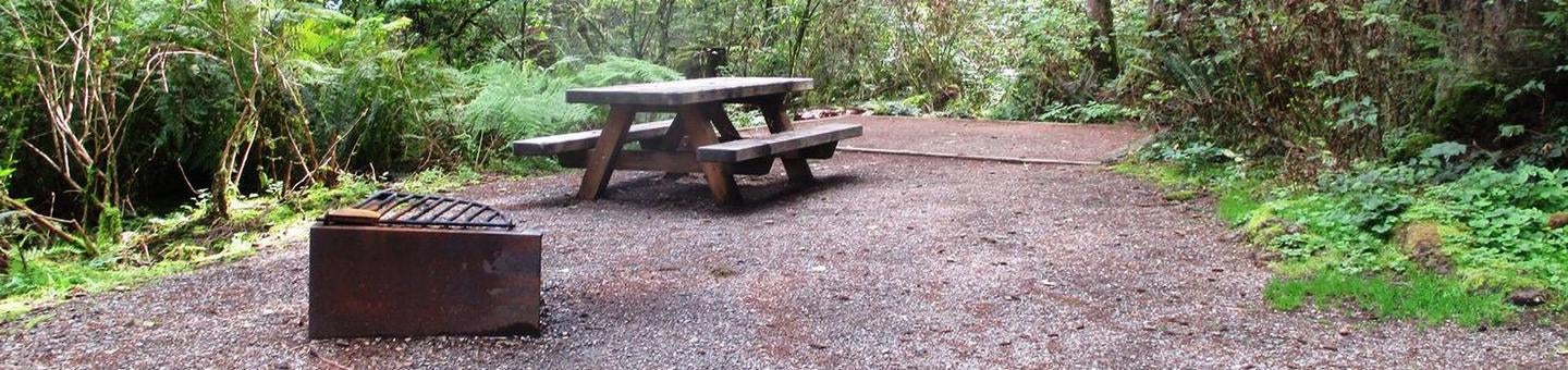 Camper submitted image from Swift Creek Campground - 2