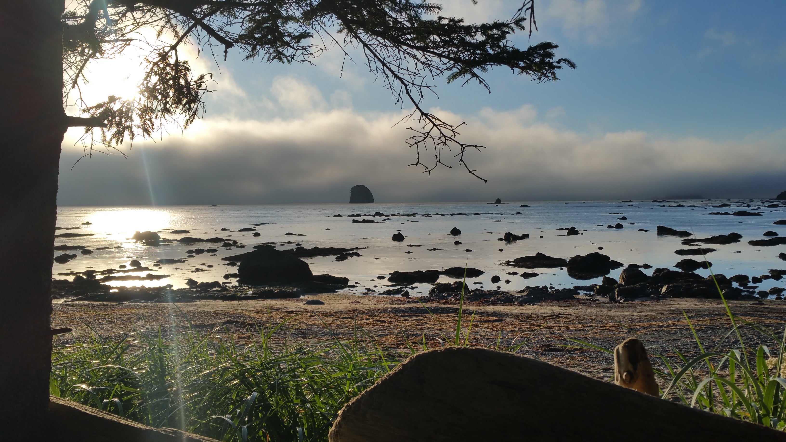 Camper submitted image from Sand Point Camp Area — Olympic National Park - 2